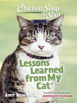Chicken Soup for the Soul - ebook
